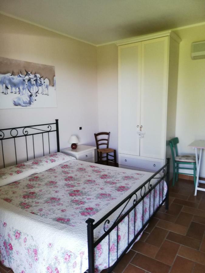 Agriturismo Prati Degli Orti Монтіано Екстер'єр фото